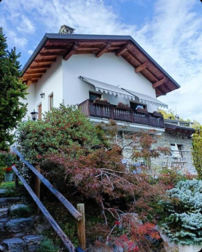 La Sarrolein CIR 0009